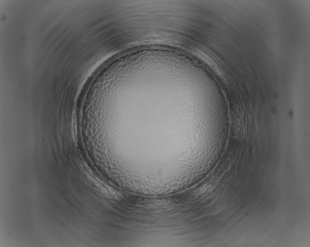 X0000077281076200611031519