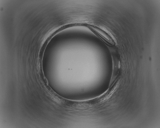 X0000077281077200611031519