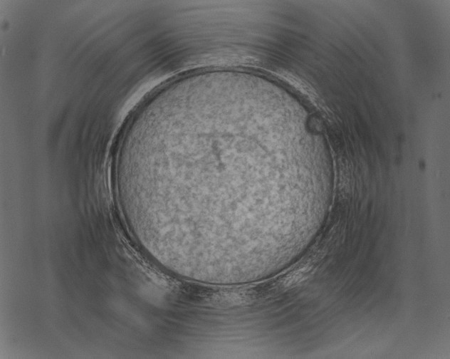 X0000077281078200611031519