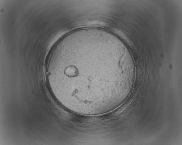 X0000077281079200611031519