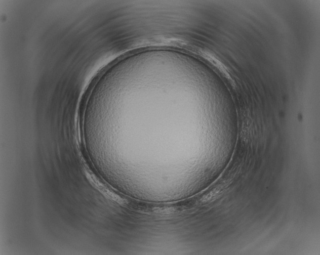 X0000077281080200611031519