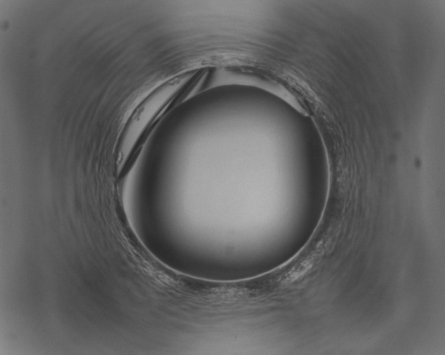 X0000077281081200611031519