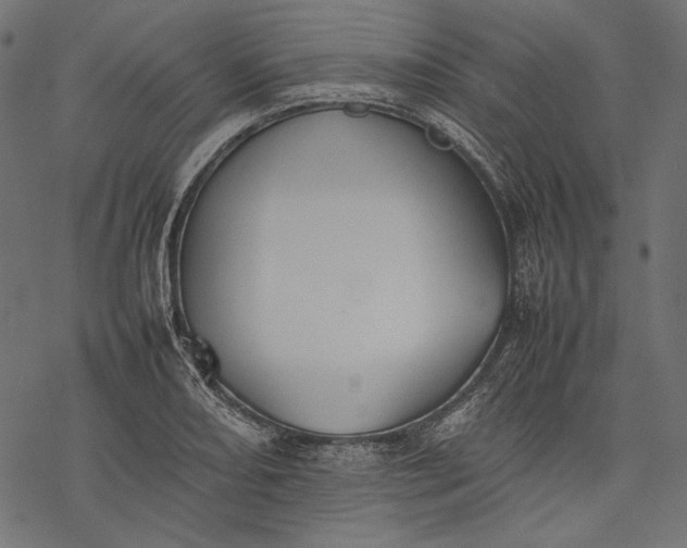 X0000077281082200611031519