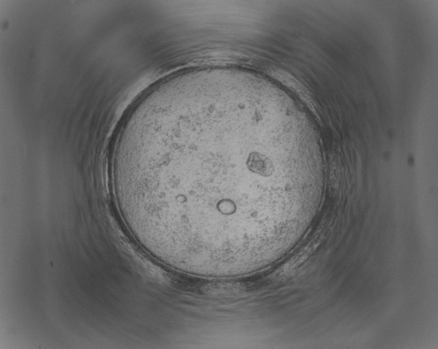 X0000077281083200611031519