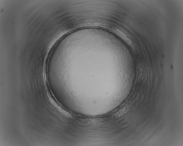 X0000077281084200611031519