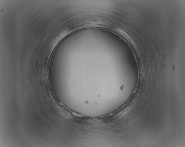 X0000077281089200611031519