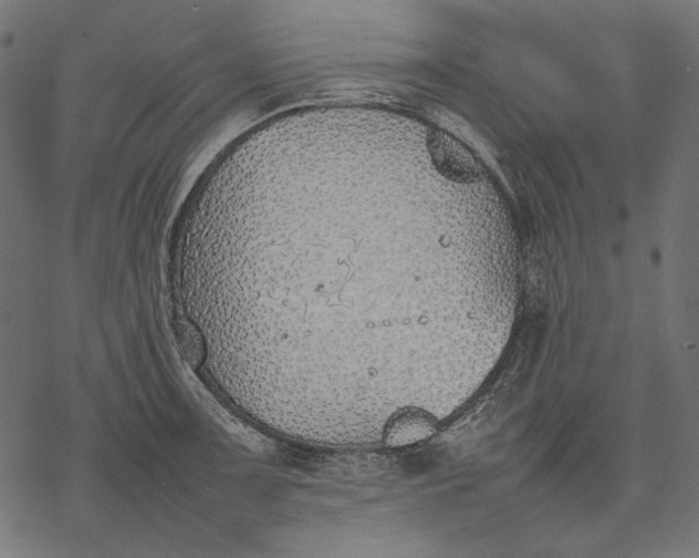 X0000077281091200611031519