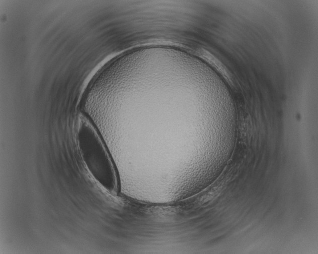 X0000077281092200611031519