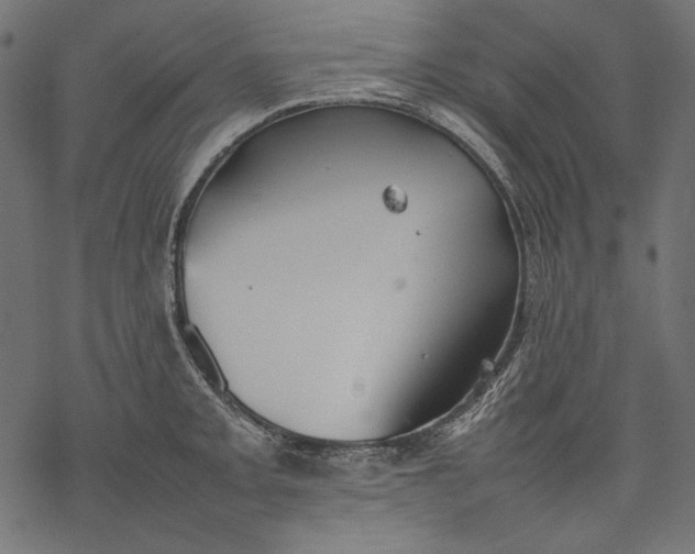 X0000077281093200611031519