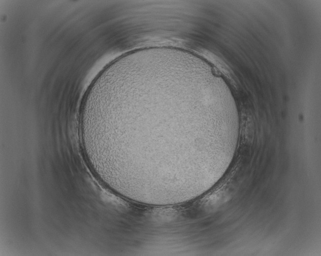 X0000077281094200611031519