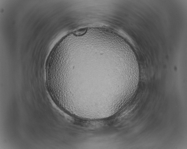 X0000077281095200611031519