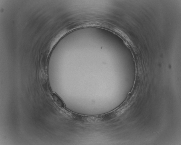 X0000077281097200611031519