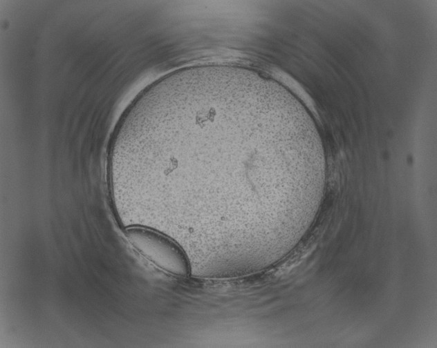 X0000077281099200611031519