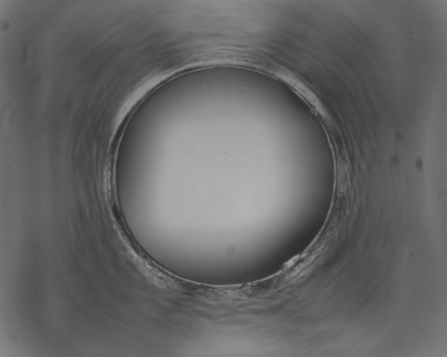 X0000077281101200611031519