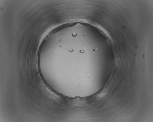 X0000077281102200611031519