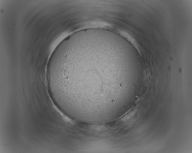 X0000077281103200611031519