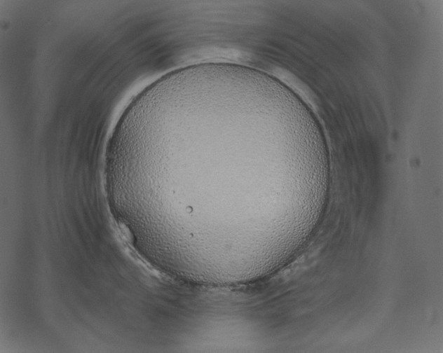 X0000077281104200611031519