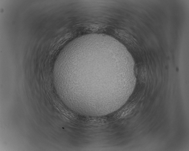 X0000077281105200611031518