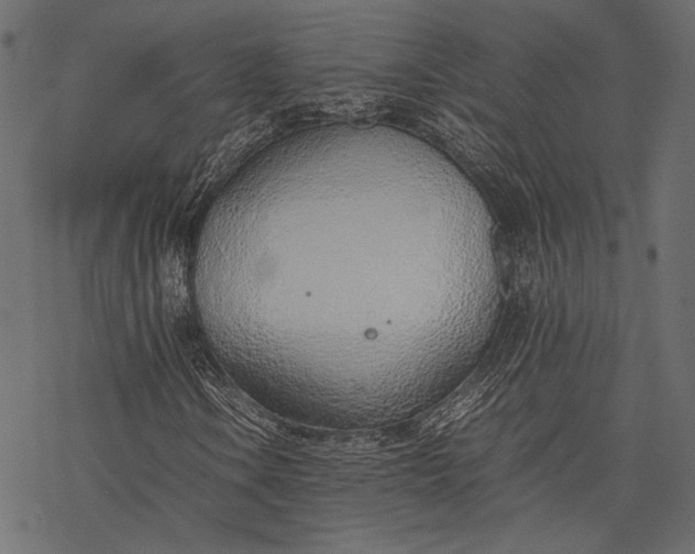 X0000077281106200611031518