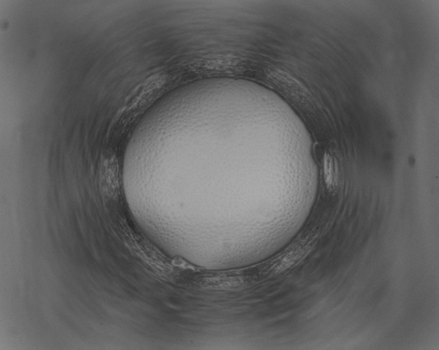 X0000077281107200611031518