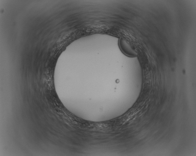 X0000077281109200611031518