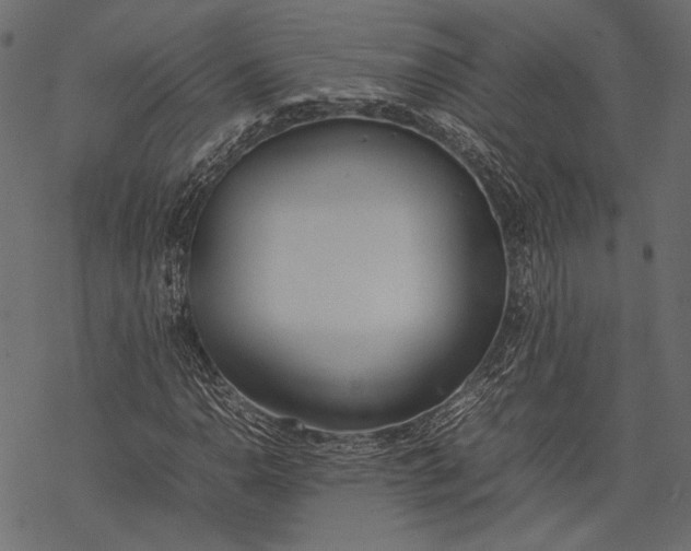 X0000077281110200611031518