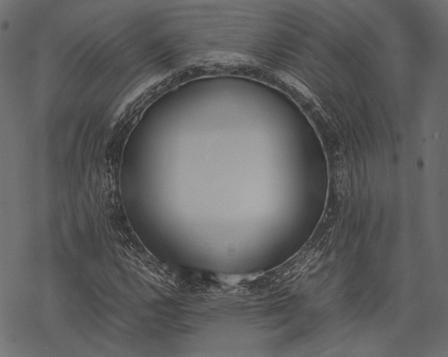 X0000077281112200611031518