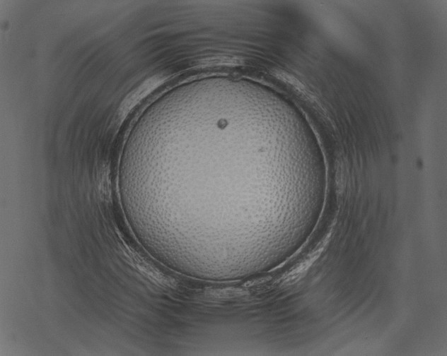 X0000077281113200611031518