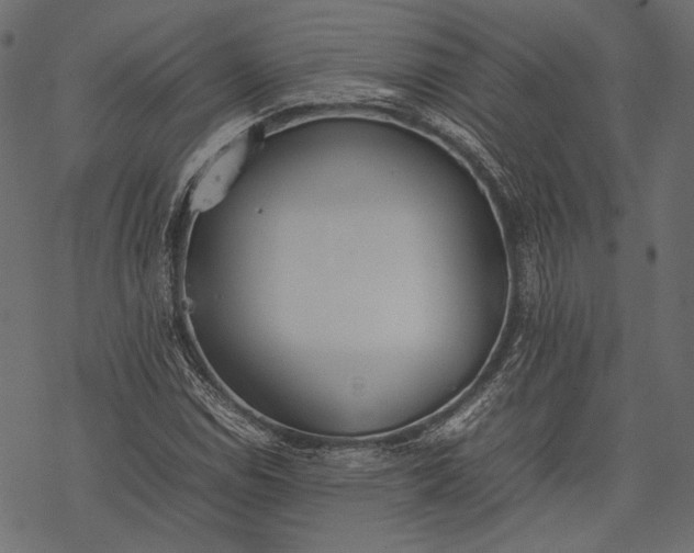 X0000077281114200611031518