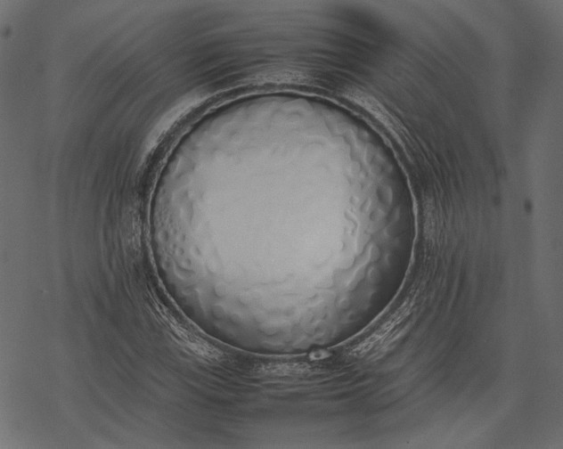 X0000077281115200611031518