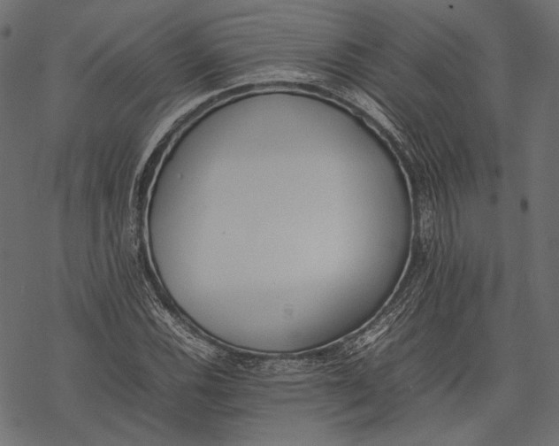 X0000077281116200611031518