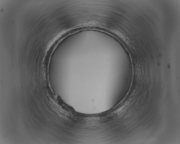 X0000077281118200611031518