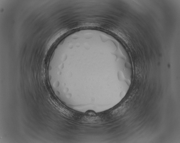 X0000077281119200611031518