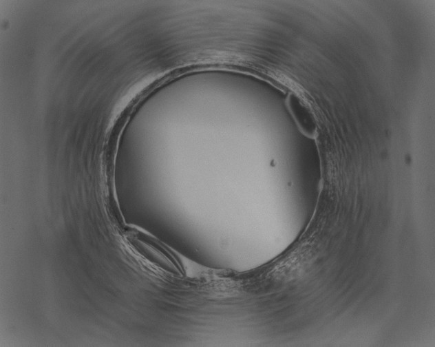 X0000077281120200611031518