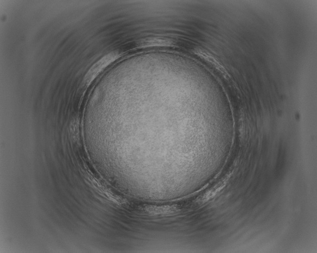 X0000077281121200611031518