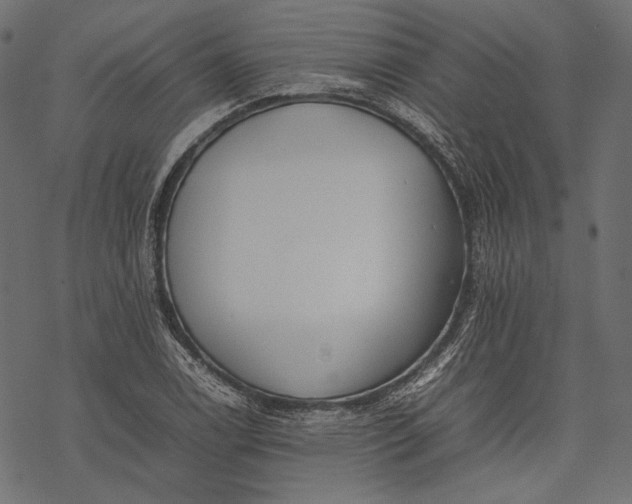 X0000077281122200611031518