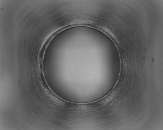 X0000077281124200611031518