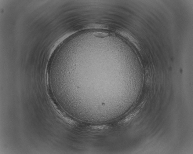 X0000077281125200611031518