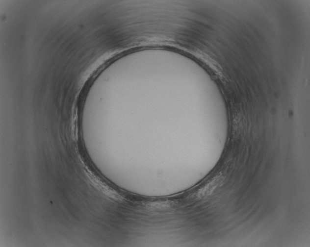 X0000077281126200611031518