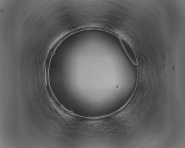 X0000077281127200611031518