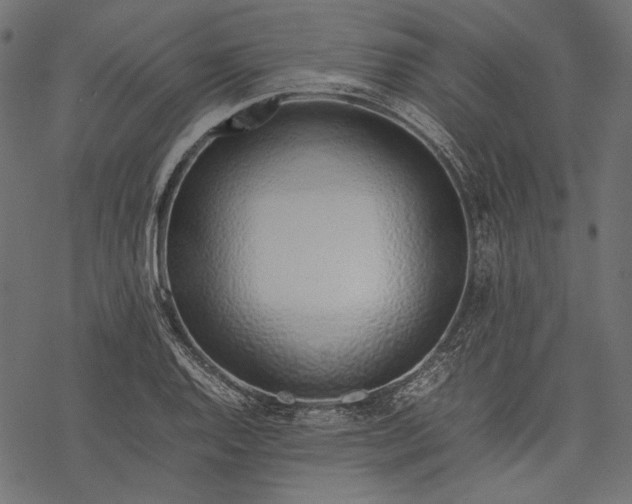 X0000077281128200611031518