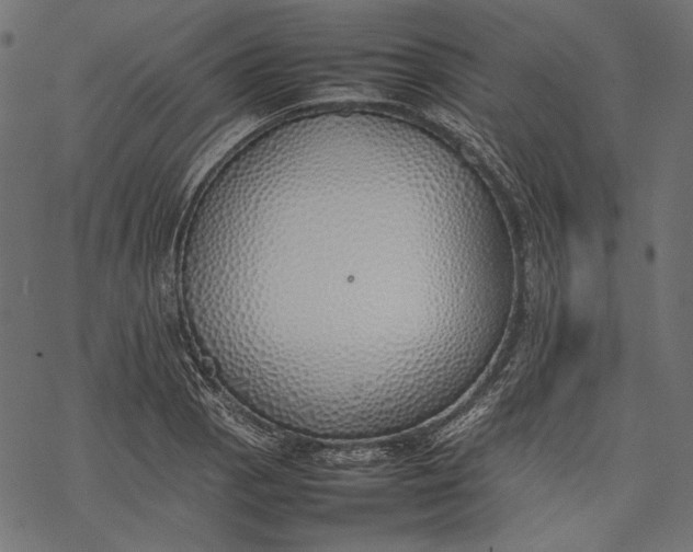 X0000077281129200611031518