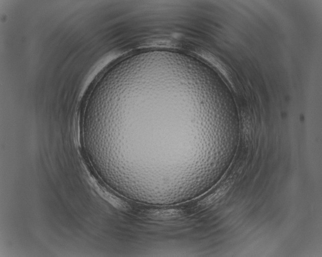 X0000077281131200611031518