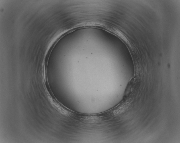 X0000077281132200611031519