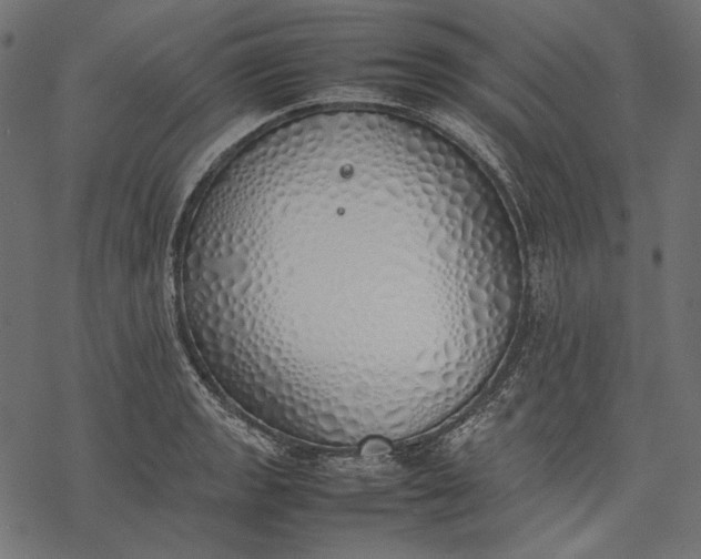 X0000077281133200611031519