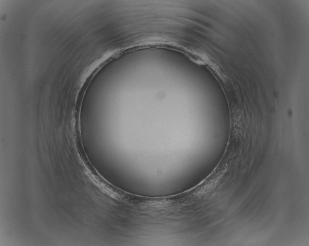 X0000077281134200611031519