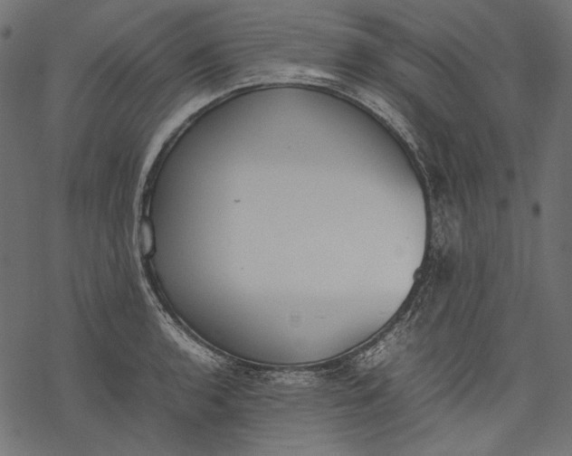 X0000077281136200611031519