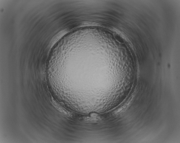 X0000077281137200611031519