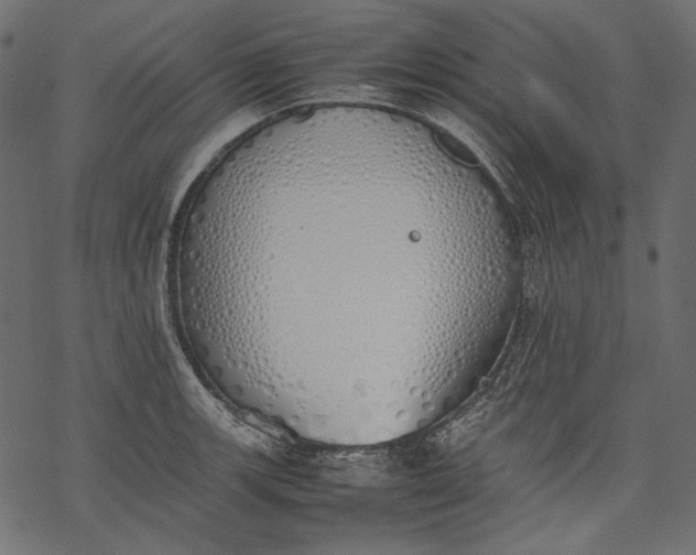 X0000077281139200611031519