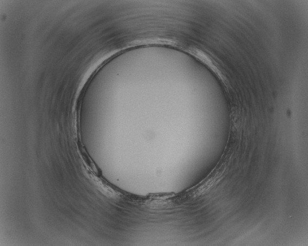 X0000077281140200611031519